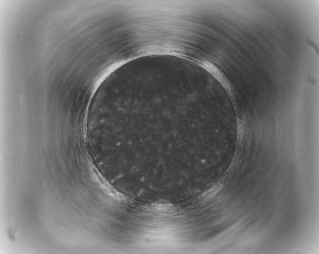 X0000100221052200806271723