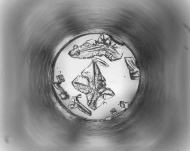 X0000100221054200806271723