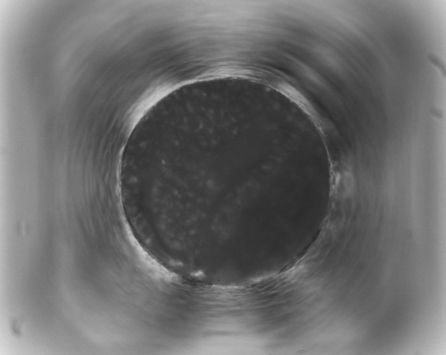 X0000100221055200806271723