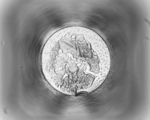 X0000100221056200806271723