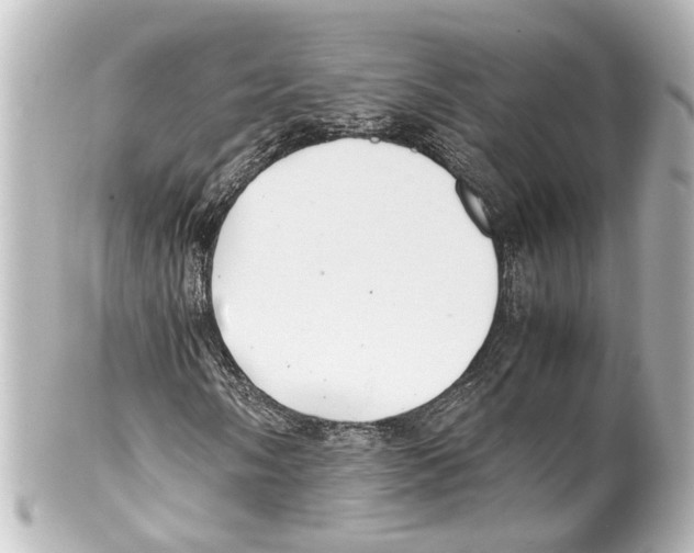 X0000100221058200806271722