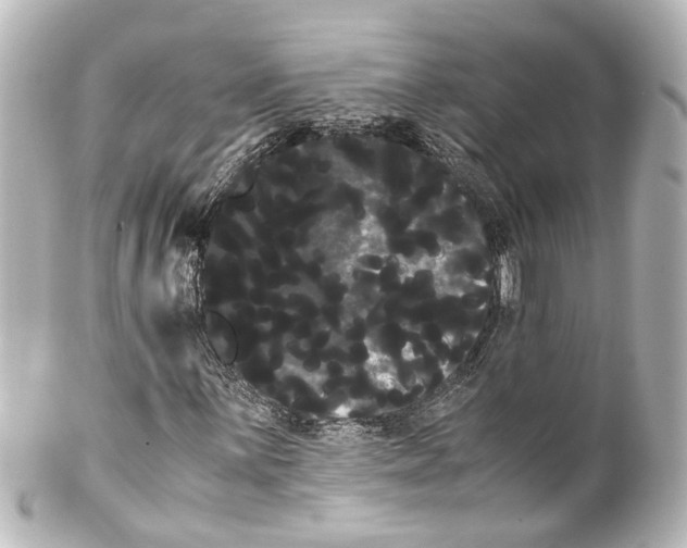 X0000100221059200806271722