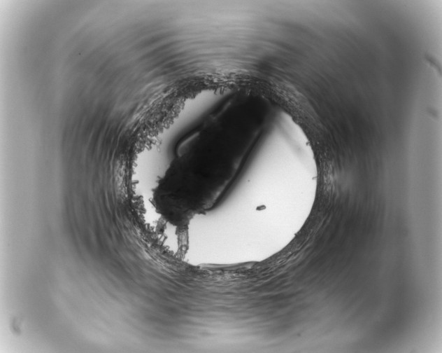 X0000100221060200806271722