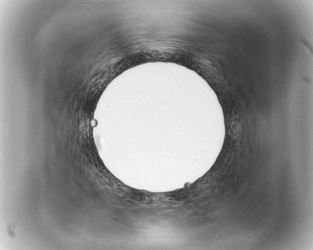 X0000100221061200806271722