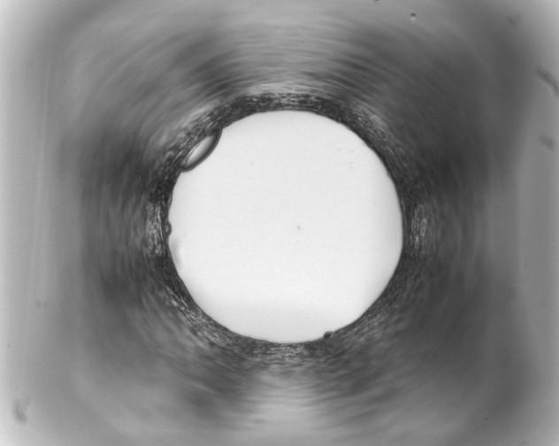 X0000100221062200806271722