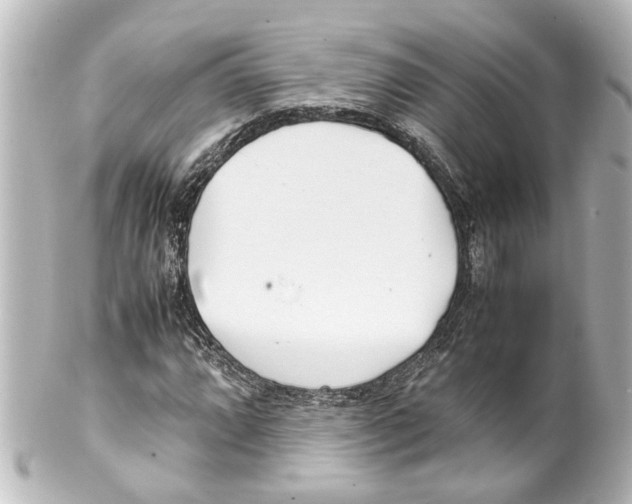 X0000100221064200806271722