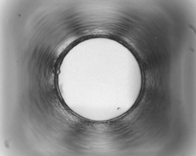 X0000100221066200806271722