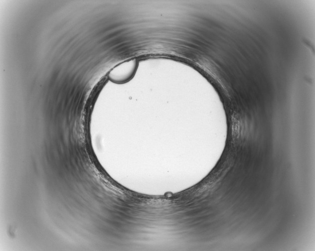 X0000100221068200806271722