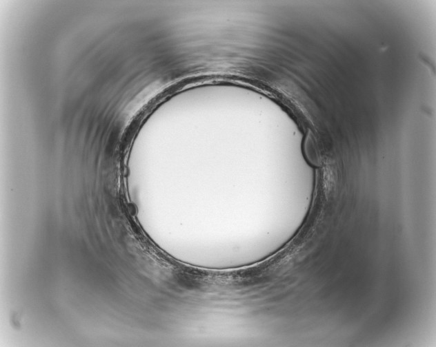 X0000100221069200806271722