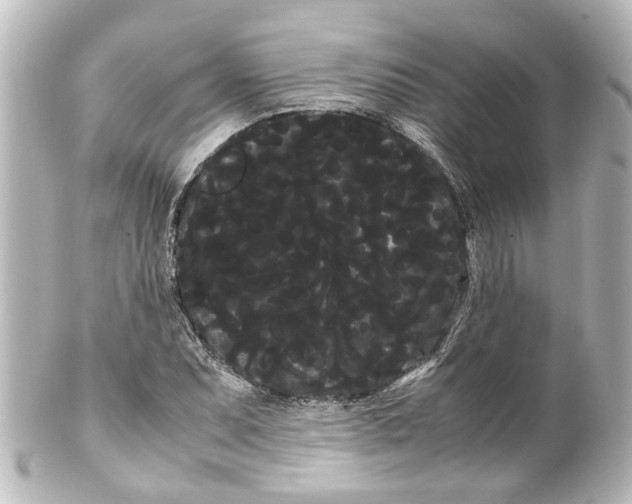 X0000100221071200806271722