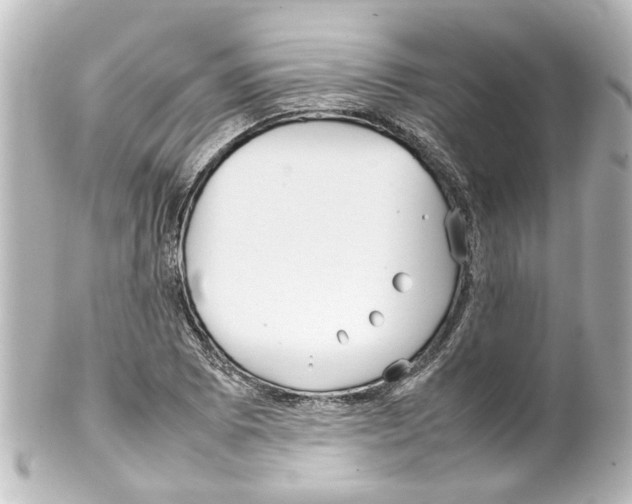 X0000100221073200806271722