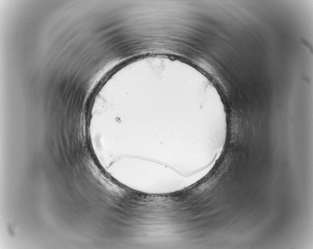 X0000100221076200806271722