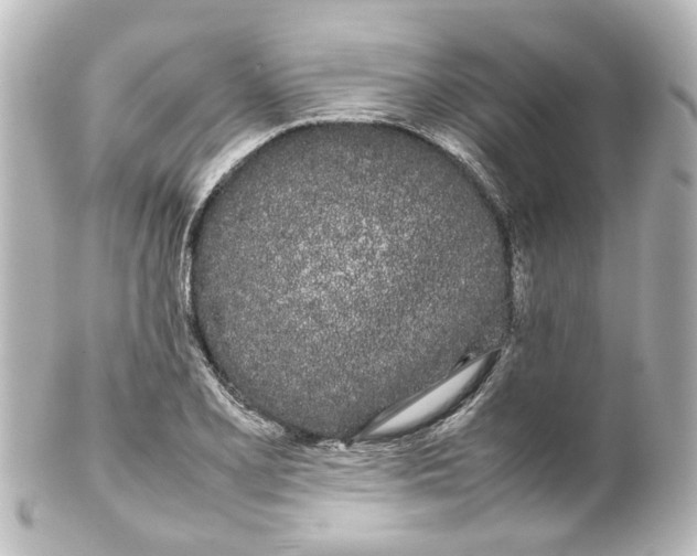 X0000100221077200806271722