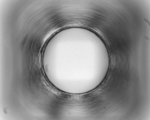 X0000100221078200806271722