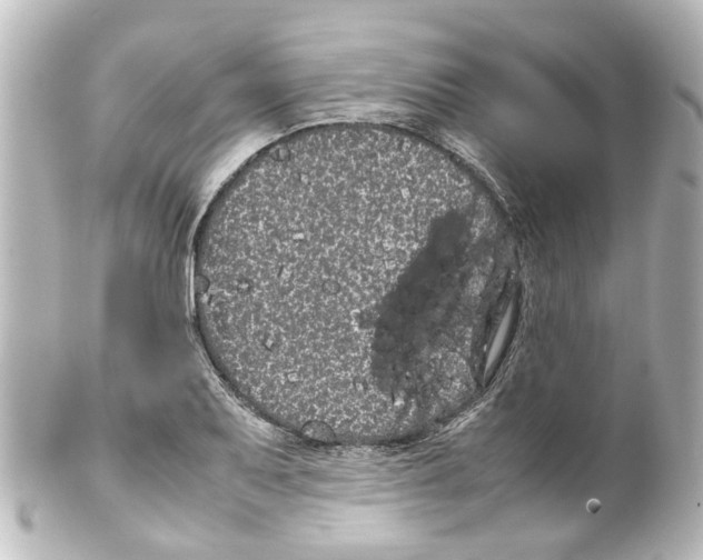 X0000100221079200806271722