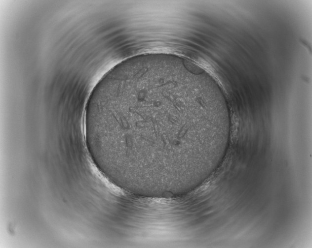 X0000100221084200806271722