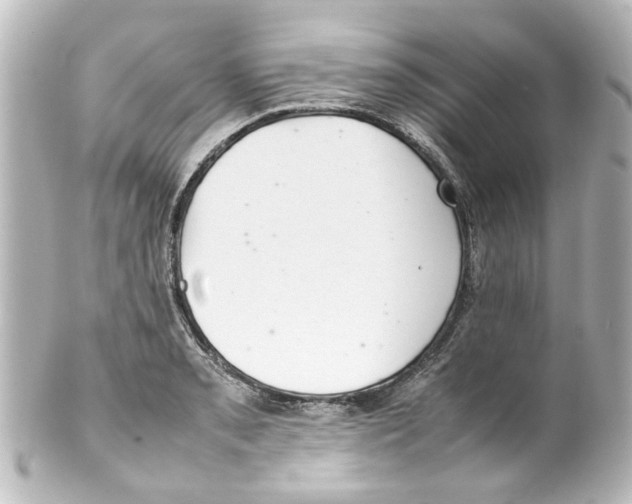 X0000100221085200806271722