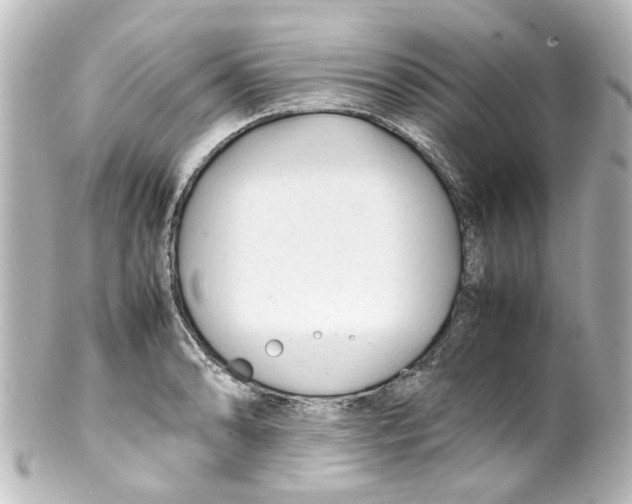 X0000100221086200806271721