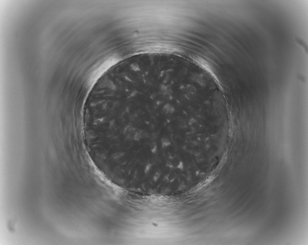 X0000100221087200806271721