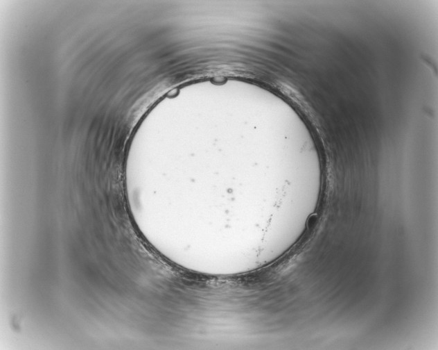 X0000100221089200806271721