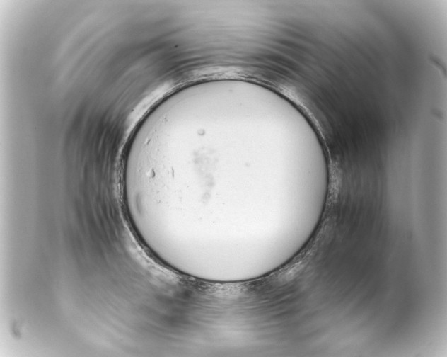 X0000100221090200806271721