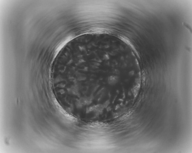 X0000100221091200806271721