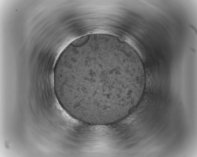 X0000100221092200806271721