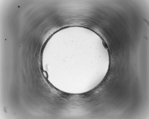 X0000100221093200806271721