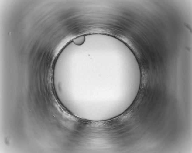 X0000100221094200806271721