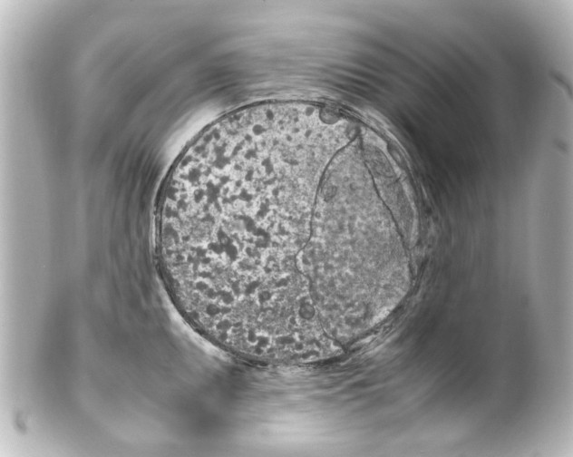 X0000100221095200806271721