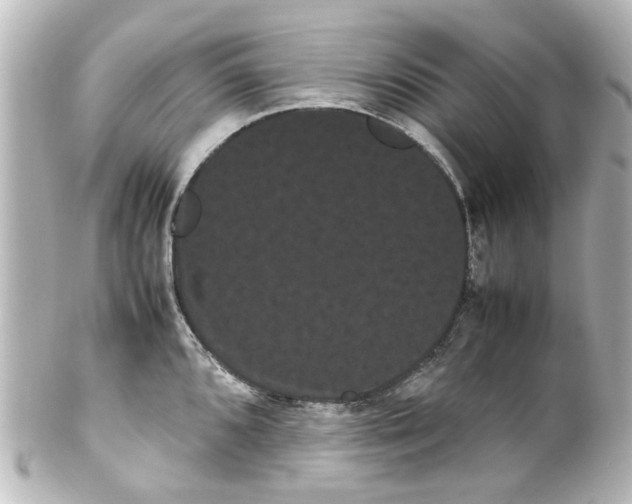 X0000100221096200806271721