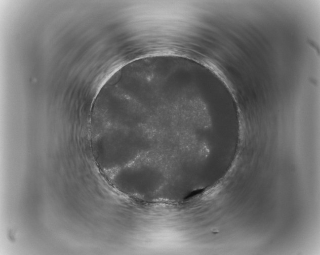 X0000100221097200806271721