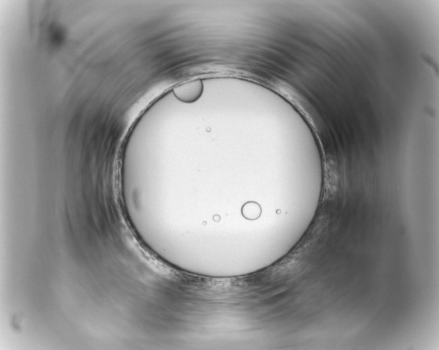 X0000100221098200806271721