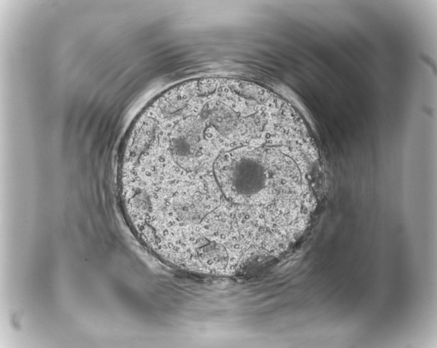 X0000100221099200806271721