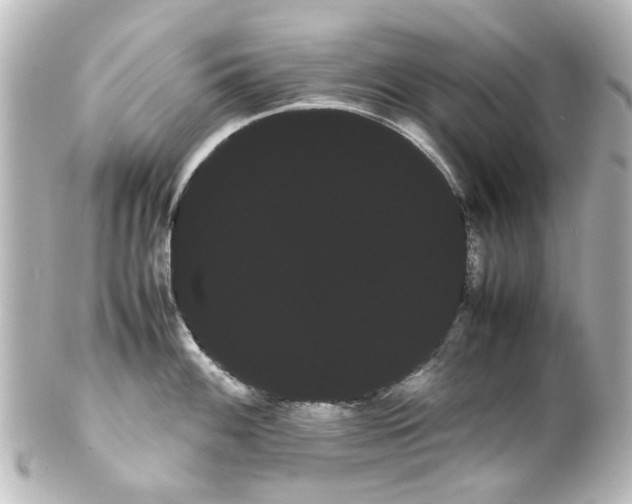 X0000100221100200806271721