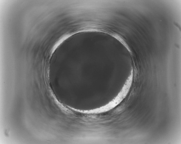 X0000100221101200806271721