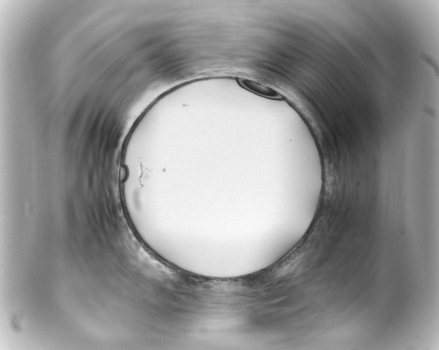 X0000100221102200806271721