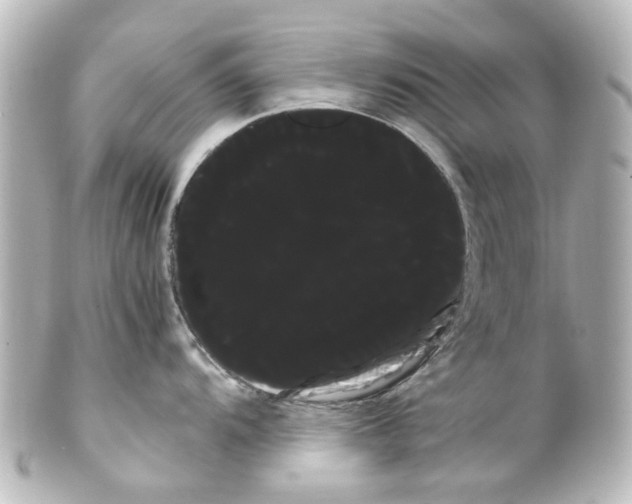 X0000100221104200806271721