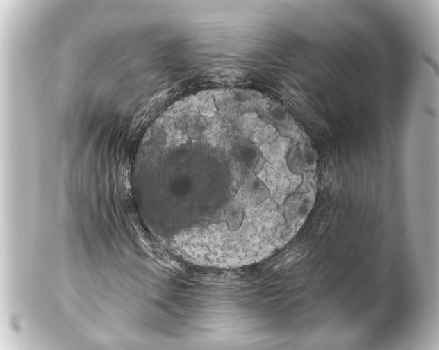 X0000100221106200806271720