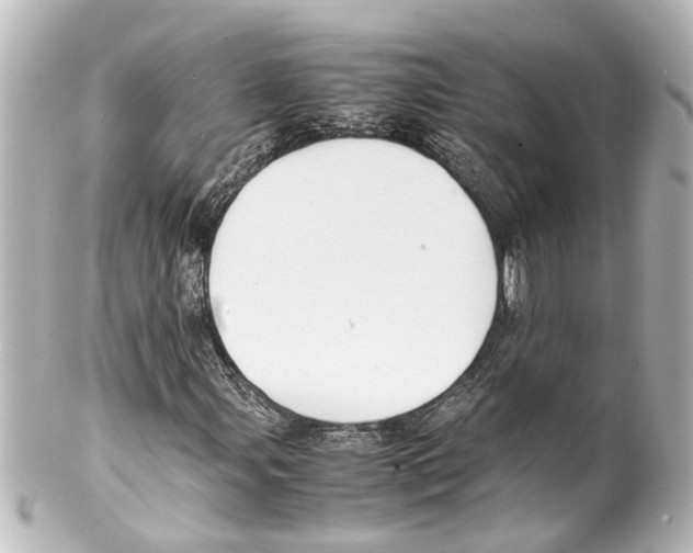 X0000100221107200806271720