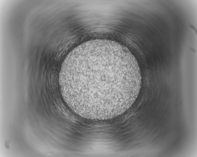 X0000100221108200806271720