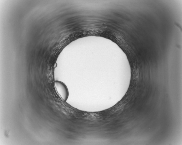 X0000100221109200806271720