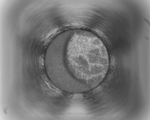 X0000100221110200806271720