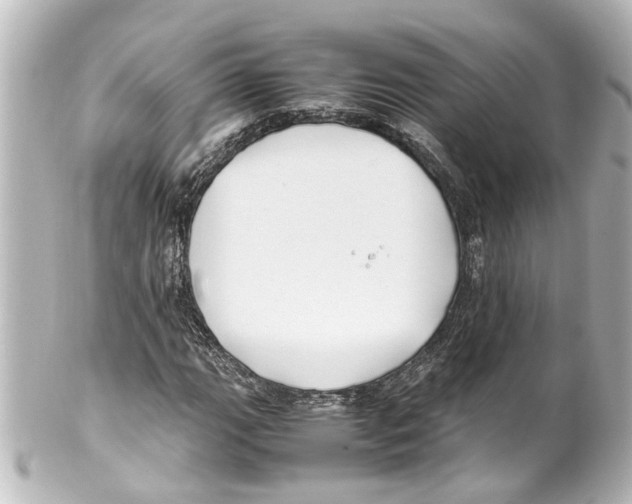 X0000100221111200806271720