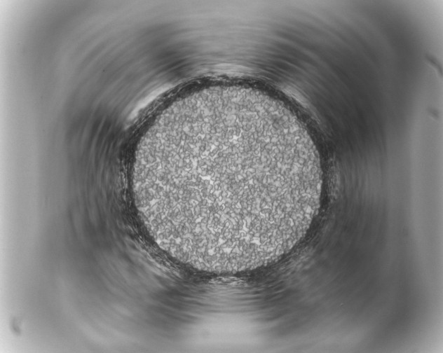 X0000100221112200806271720