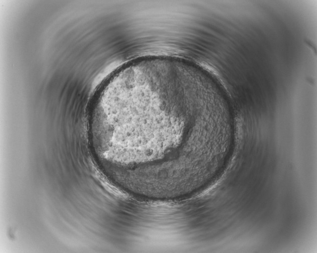 X0000100221114200806271720