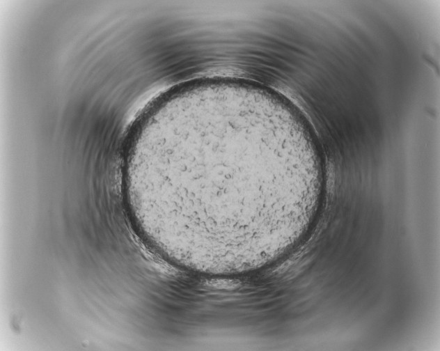 X0000100221115200806271720