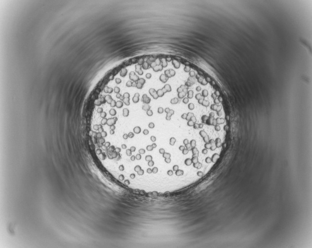 X0000100221116200806271721