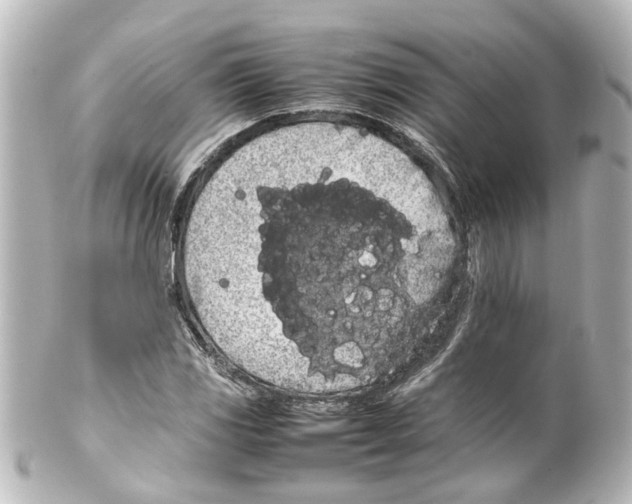 X0000100221117200806271721