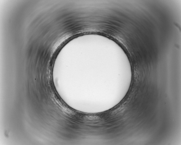 X0000100221119200806271721